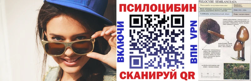 Купить где  Воскресенск  Галлюциногенные грибы MAGIC MUSHROOMS 